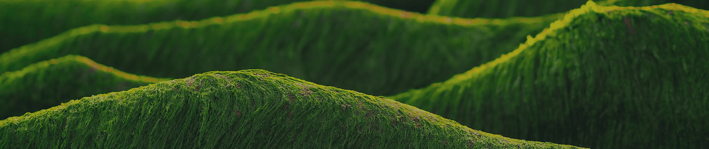 ESG Background